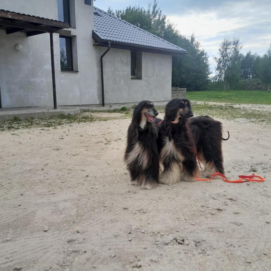 Hostel Jaunvaltes Ragana Zewnętrze zdjęcie